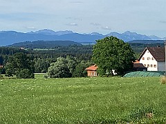IMG_8209