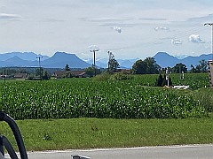 IMG_8214